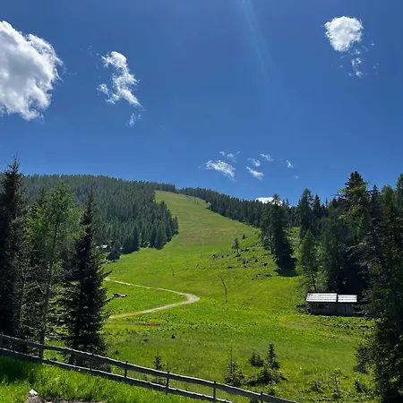 Bruendl-chalets Hochrindl *