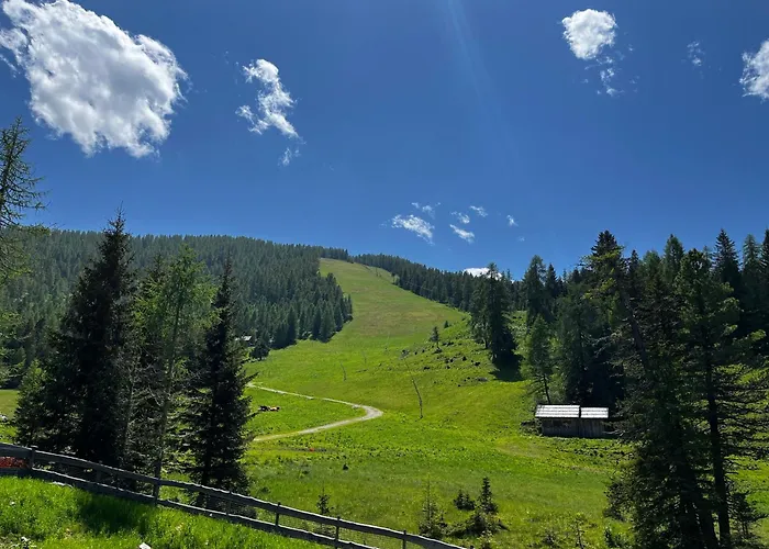Bründl-chalets Hochrindl *